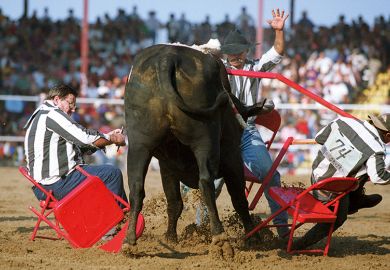 A bull at a rodeo