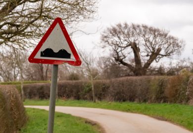 Bumpy road road sign on a narrow country lane