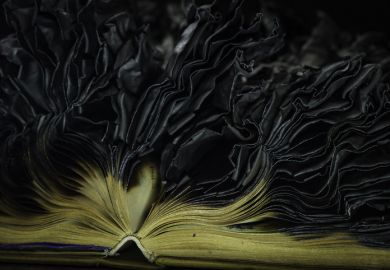 Burnt book