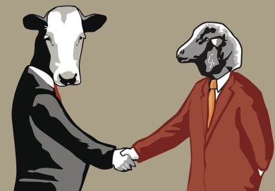 Business cow