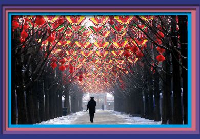 A man strolls down a tree-lined walkway decorated with butterflies and red lanterns in Beijing, China. To illustrate that Asian universities have stalled in their rise up the rankings. A man strolls down a tree-lined walkway decorated with butterflies and red lanterns in Beijing, China. To illustrate that Asian universities have stalled in their rise up the rankings.
