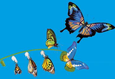 stages of butterfly metamorphosis to illustrate the changes to the rankings methodology over the past 20 years stages of butterfly metamorphosis to illustrate the changes to the rankings methodology over the past 20 years