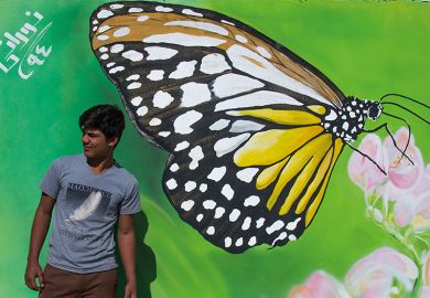 Man in front of a painted butterfly on a wall, Iran Man in front of a painted butterfly on a wall, Iran