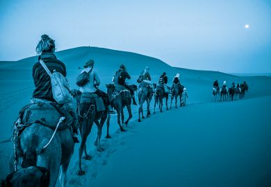 camel train in desert