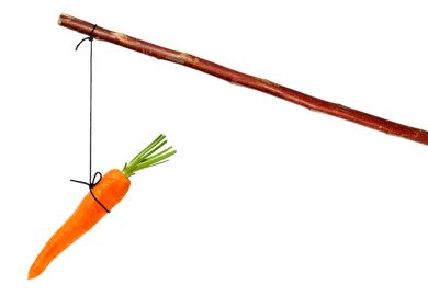 Carrot on stick Carrot on stick