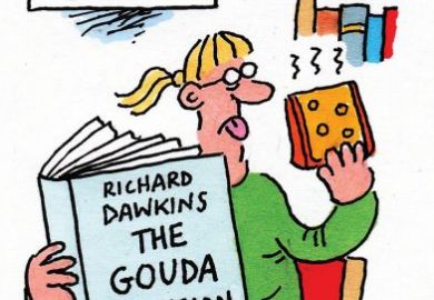 the gouda delusion