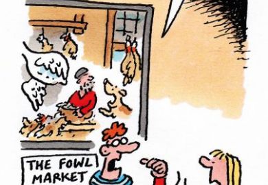 cartoon week in HE Week in HE cartoon