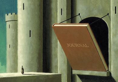 Castle with journal drawbridge