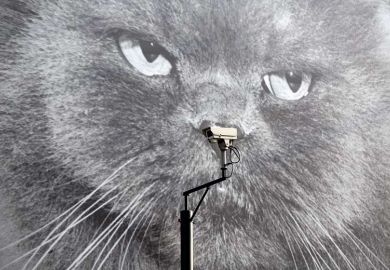 cat-camera cat-camera