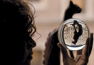 Cat reflected in a glass ball