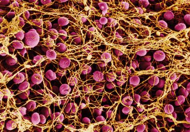 cells-biology cells-biology