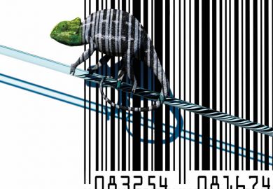 Chameleon sitting on barcode Chameleon sitting on barcode