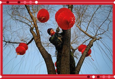 A worker hangs red lanterns on a tree for the upcoming Lunar New Year in Beijing, as an illustration of Chinese universities rising in position in the Asia Rankings.