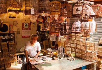 Chinese man in shop with cages Chinese man in shop with cages