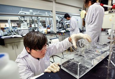 Chinese researchers working in laboratory