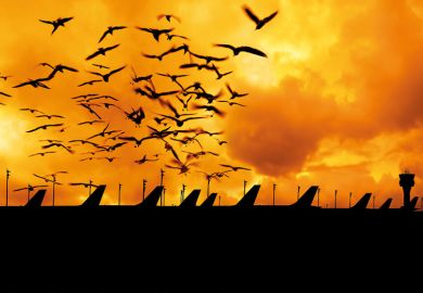 Aeroplanes at sunset Aeroplanes at sunset