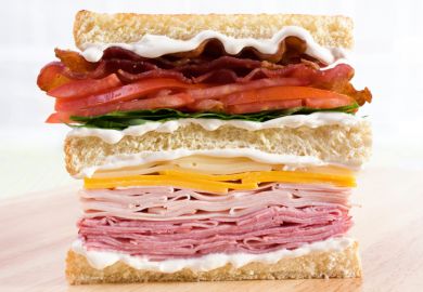 Close-up of club sandwich