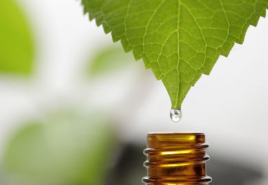 medicine, complementary, nettle,