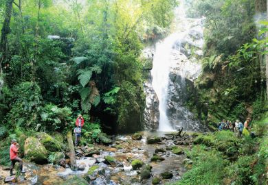 Conservationists working near waterfall Conservationists working near waterfall