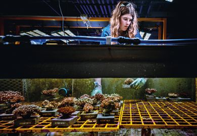 Tanks of water with various corals
