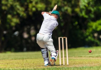 cricket cricket