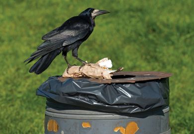 Crow standing on top of park dustbin