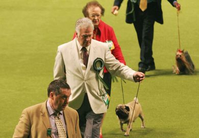 Crufts