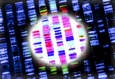 A DNA sequence A DNA sequence