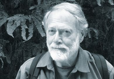 David A. Hollinger David A. Hollinger