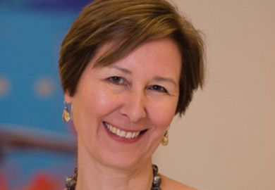 Deborah Brautigam, School of Advanced Studies (SAIS), Johns Hopkins University