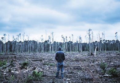 Man stands looking at felled forest