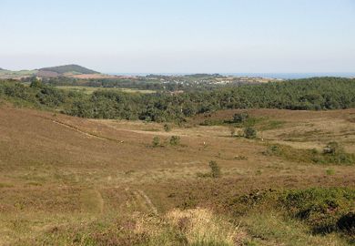 Devon landscape Devon landscape