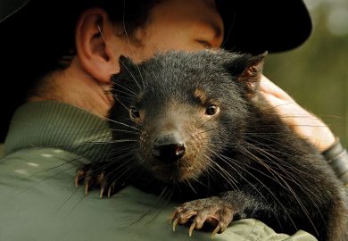 Man holds a Tasmanian devil