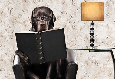dog book lamp dog book lamp