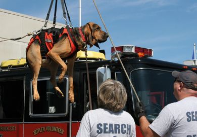 Dog rescue