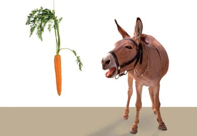 Donkey being led by carrot