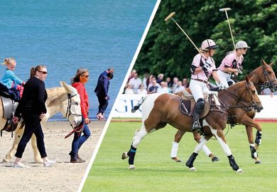 Donkey rides and polo players