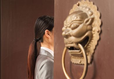 Door knocker
