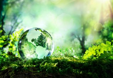 Drop of water in a forest