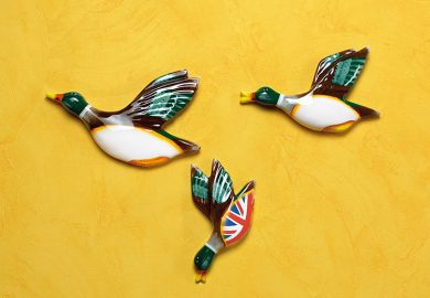 Duck ornaments on a yellow wall with one flying downwards Duck ornaments on a yellow wall with one flying downwards