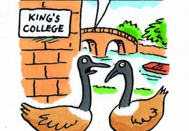 cartoon geese