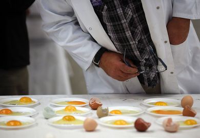 eggs on table eggs on table