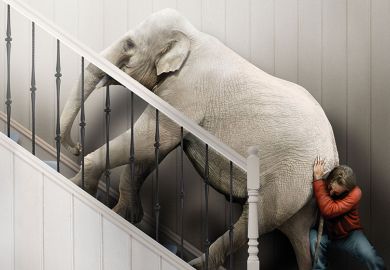 elephant push elephant push