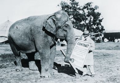 Circus elephant with contract