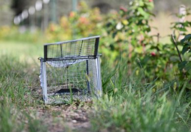 Empty animal trap Empty animal trap