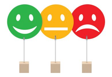 Faces/emotions, Student Experience Survey 2016 results Faces/emotions, Student Experience Survey 2016 results