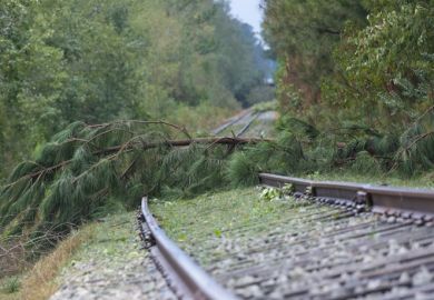 A tree fallen across a railways line