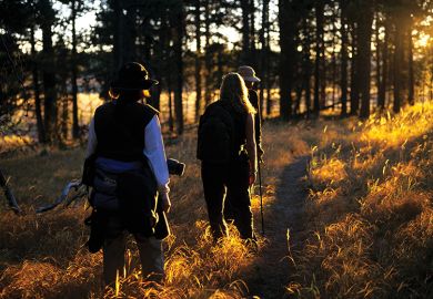 People walking through a wood at sunset illustrating fieldwork