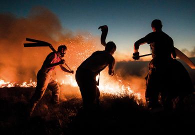 Firefighters tackle a wildfire by beating it. Used to illustrate whether the OfS has the right tools to tackle the challenges faced by the university sector. Firefighters tackle a wildfire by beating it. Used to illustrate whether the OfS has the right tools to tackle the challenges faced by the university sector.