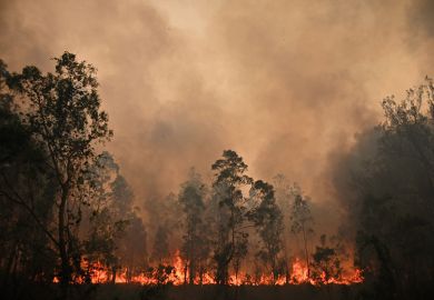 bushfire bushfire